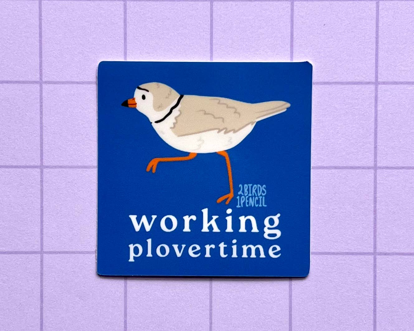 2Birds1Pencil Illustrations - Wholesale Sticker - Working Plovertime Piping Plover Mini Vinyl Sticker1