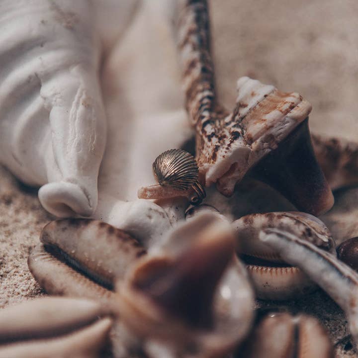 CLOSCA for wholesale by Selvatica