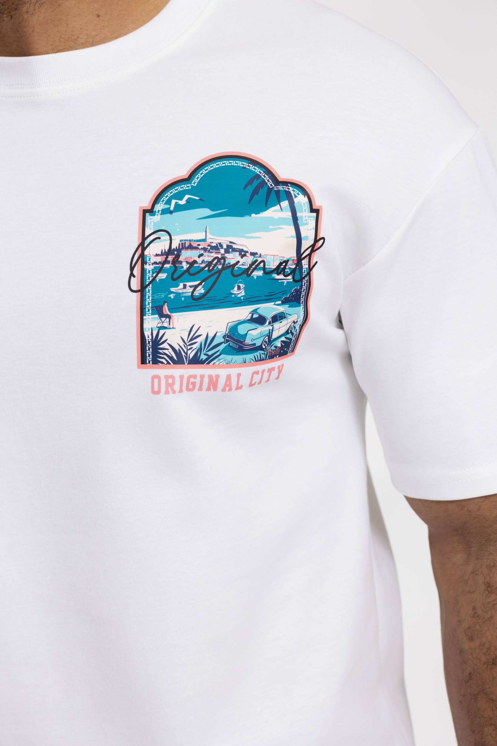 Zayne Paris - Wholesale Screen Printed T-Shirt - Men's - Men's oversized T-shirt with TX1215 pattern2