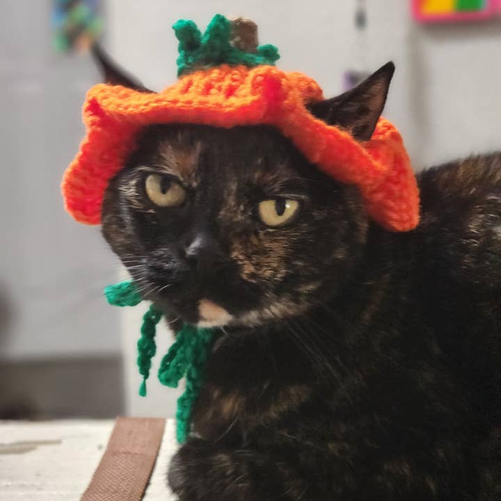 A Creative Wonderland - Wholesale Pet Costume - Cat/Dog - Pumpkin Hat for Cats or Small Dogs