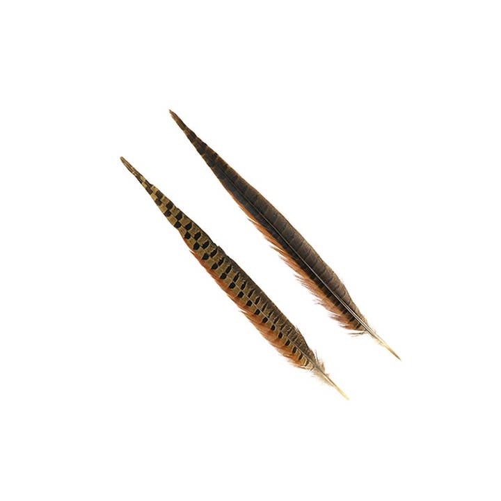 Zucker Feather Products - Wholesale Craft Supplies - 10 PC/PKG Ringneck Pheasant Tails 14-16" - Natural
