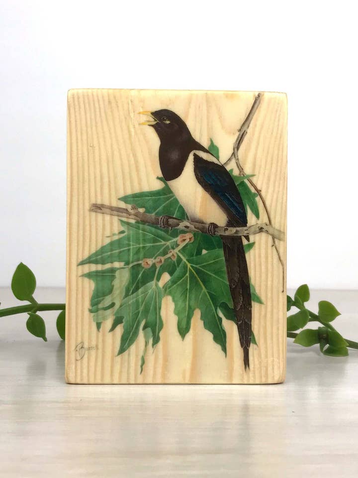 Painel de Madeira de Magpie Fouco Amarelo, Madeira de Magpie Filiado Amarelo por atacado de Streetlightbirds