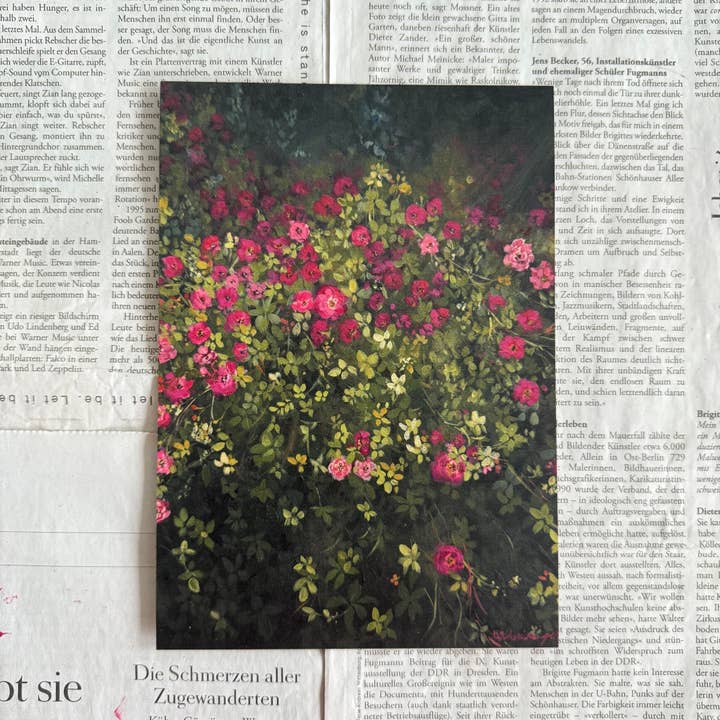 Rosa Chinensis III afdruk voor wholesale door denaisx