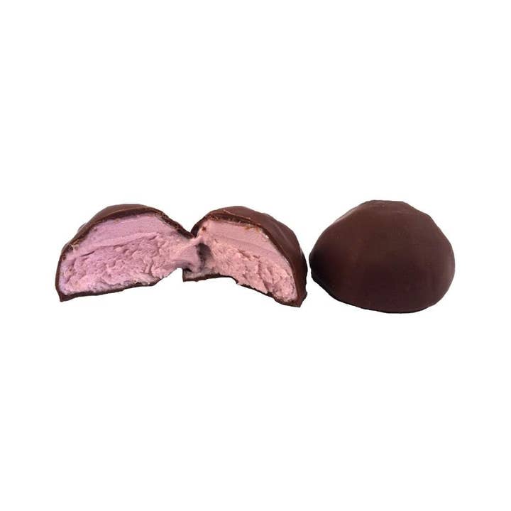 Idaho Candy Co. - Wholesale Chocolate Bar - Huckleberry Gems - 18 Bars