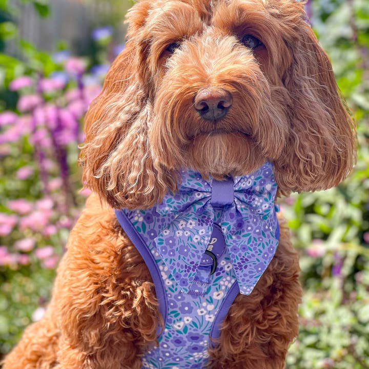 Dog Sailor Bow Tie: Notting Hill Wisteria for wholesale by WYLD CUB