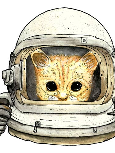 Limited Print, Signed: Space Kitteh No. 1 for wholesale by Robot of the Month Club/The Art of Craig Snodgrass