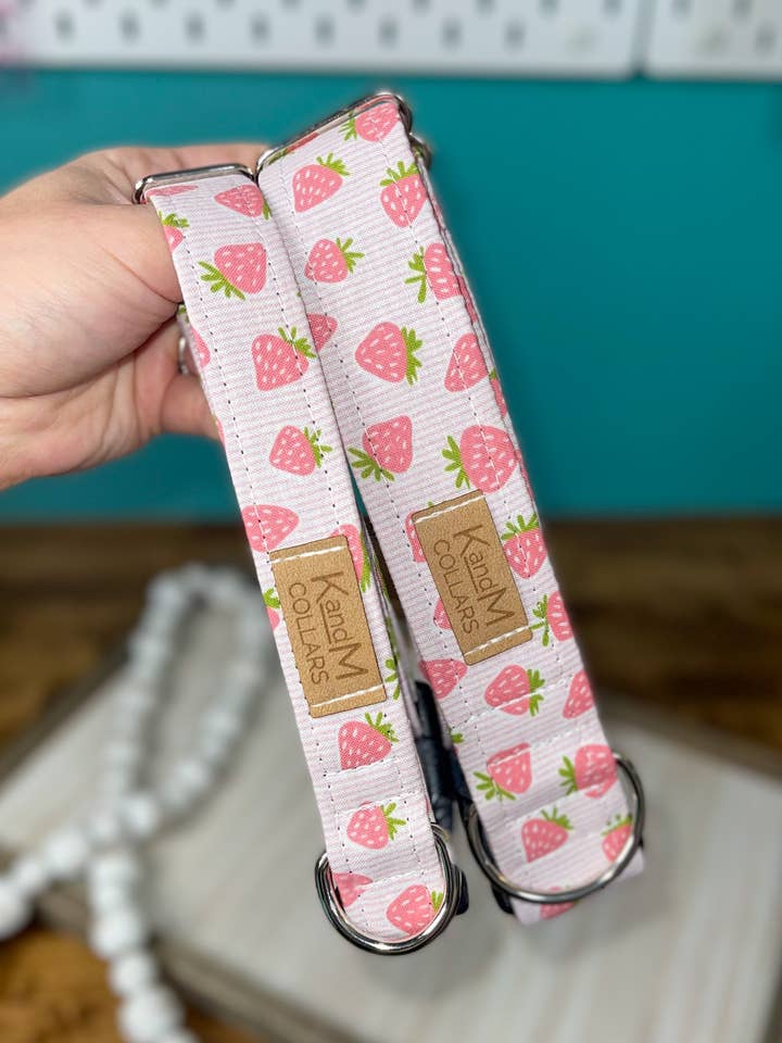 Collier pour chien à rayures fraises, accessoire pour animaux de compagnie, collier K et M pour la vente par K and M Collars