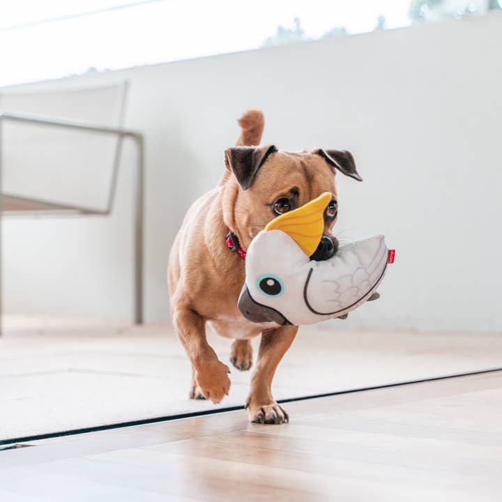 Red Dingo Australia - Wholesale Pet Plush Toy - Dog - Durables Fabric Toy Cockatoo Bird1