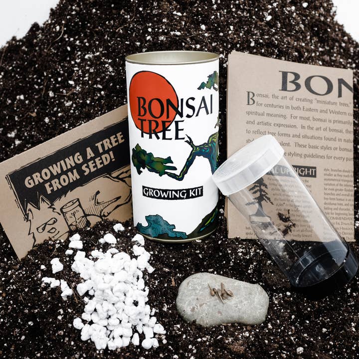 The Jonsteen Company - Vente Présentoir – maison et déco - Coffret pour bonsaï | 12 kits de culture avec présentoir7