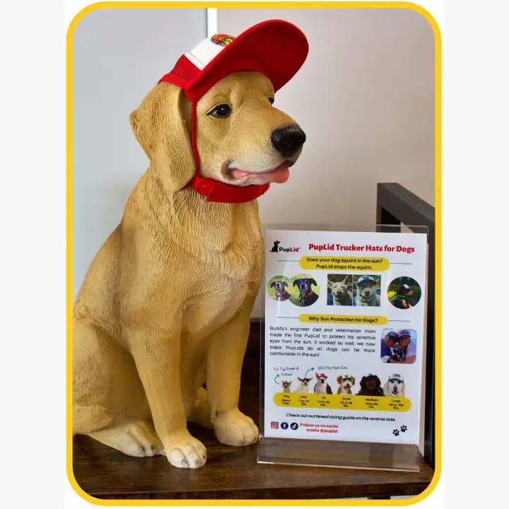 PupLid - Wholesale Pet Hat - Dog - Dog Model + Extra PupLid for Display