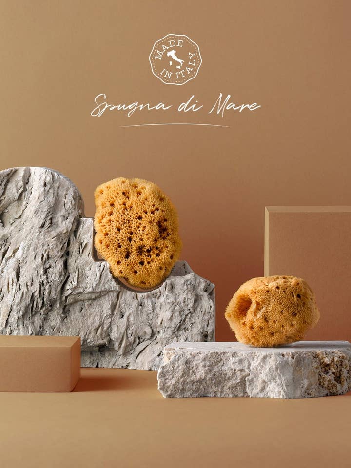 Zeespons met koffer voor wholesale door Wanabe | Natural Vibes Cosmetics