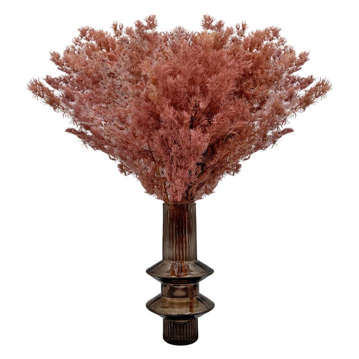 2626 Designs - Wholesale Dried/Pressed Flowers - Preserved Asparagus Fern,12-20" long7