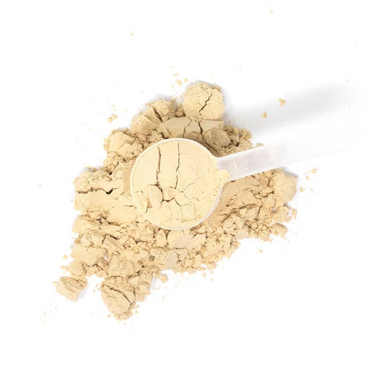 ATH SPORT - Wholesale Protein/Superfood Powder - Plant Protein: The Smoothest and Best Tasting Plant Protein