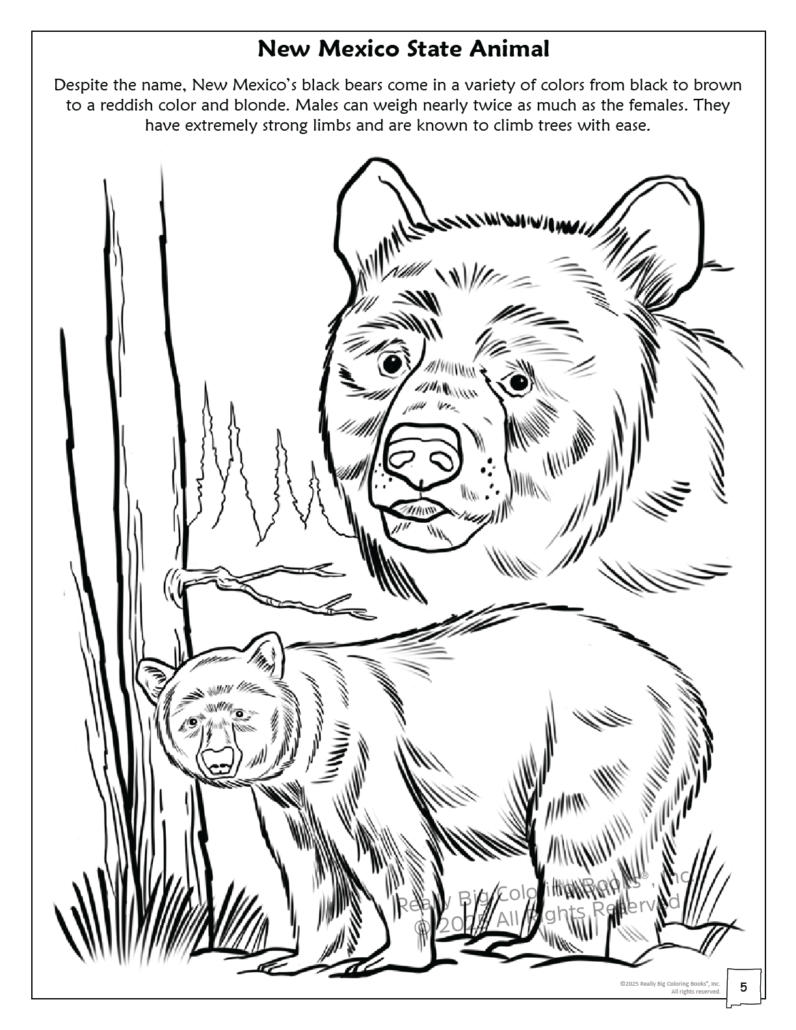Really Big Coloring Books | ColoringBook.com - Vente Livre – enfant - Livre de coloriage de l'État du Nouveau-Mexique 8,5 x 113