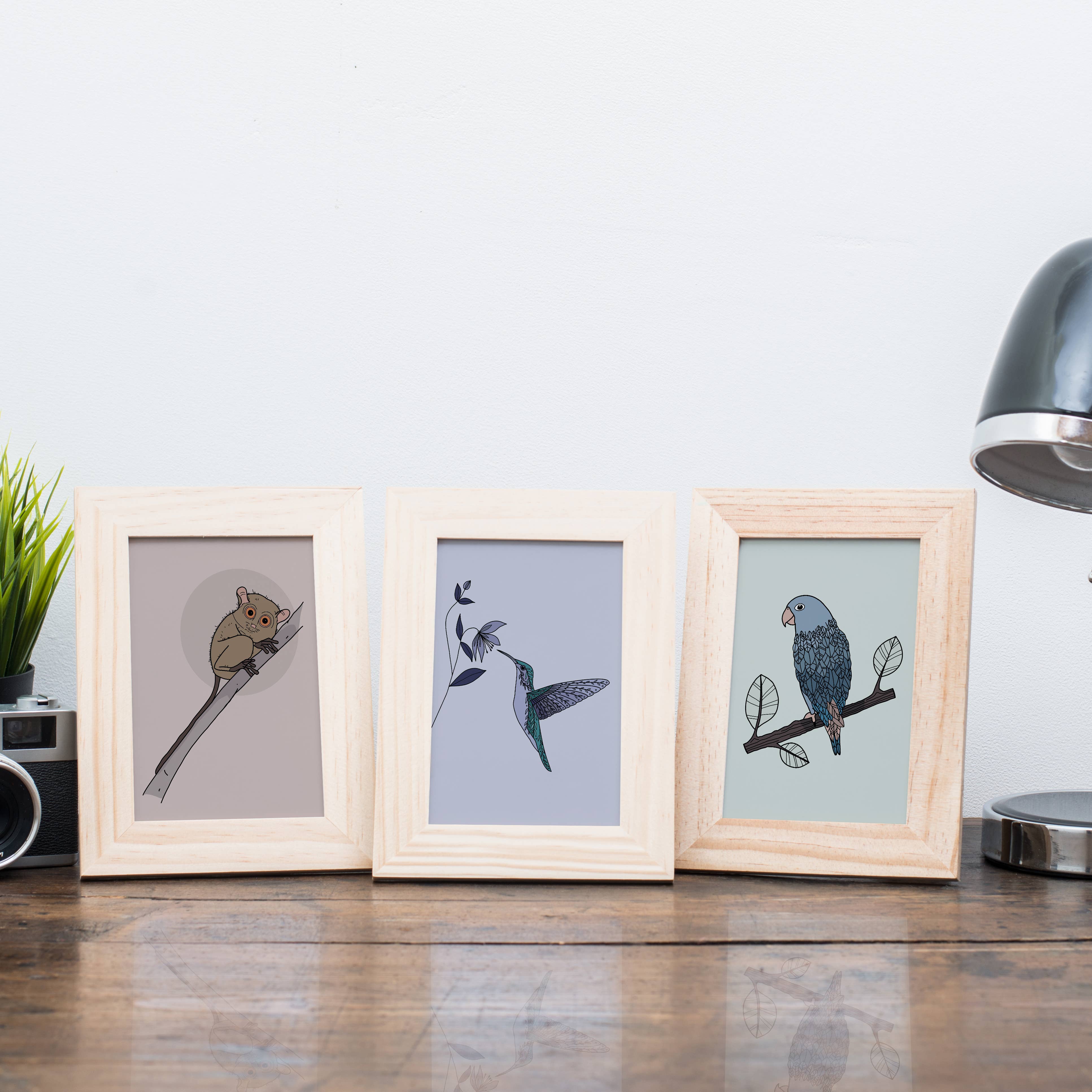 Rotberta - Wholesale Postcard - Koboldmaki postcard2