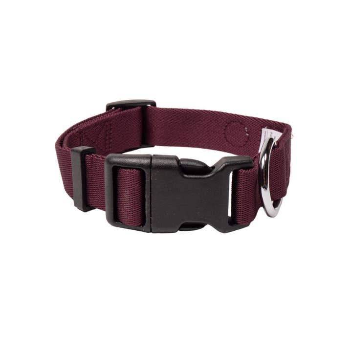 Woolly Wolf - Wholesale Pet Collar - Dog - Juicy Plum Dog Collar Recycled (RPET)2