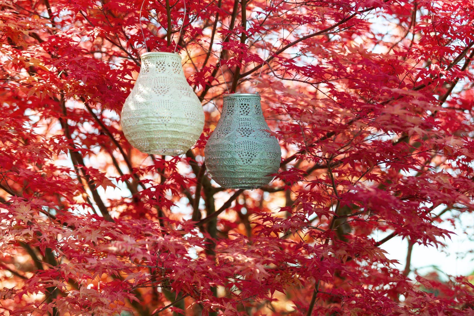 Allsop Home & Garden - Wholesale Outdoor/Lawn Light - Stella Bulb 8" Solar Lantern - Pearl Wave3