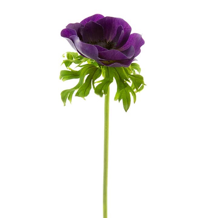 American Best - Wholesale Artificial Flowers - 22" POPPY ANEMONE STEM1
