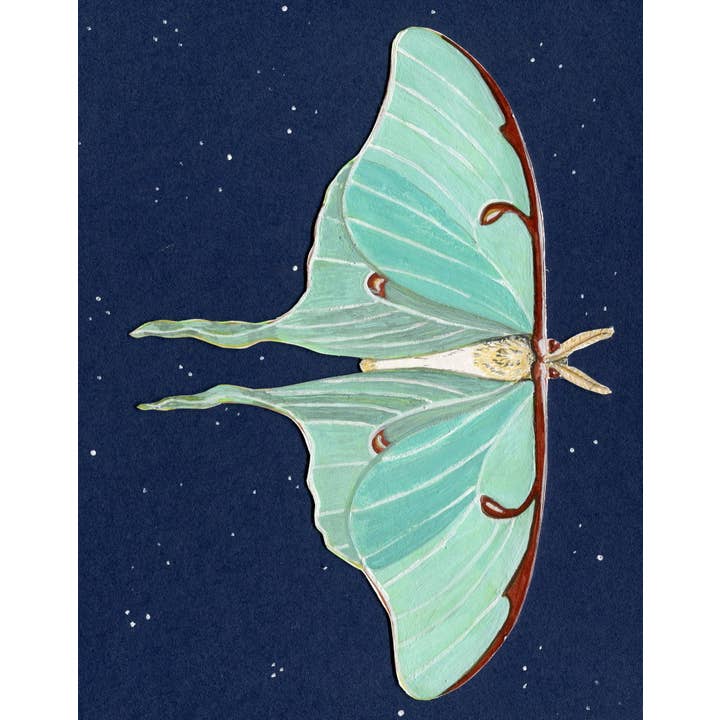 Johanna Finnegan-Topitzer - Wholesale Everyday Greeting Card - Luna Moth Blank Greeting Card, 4.25" x 5.5"