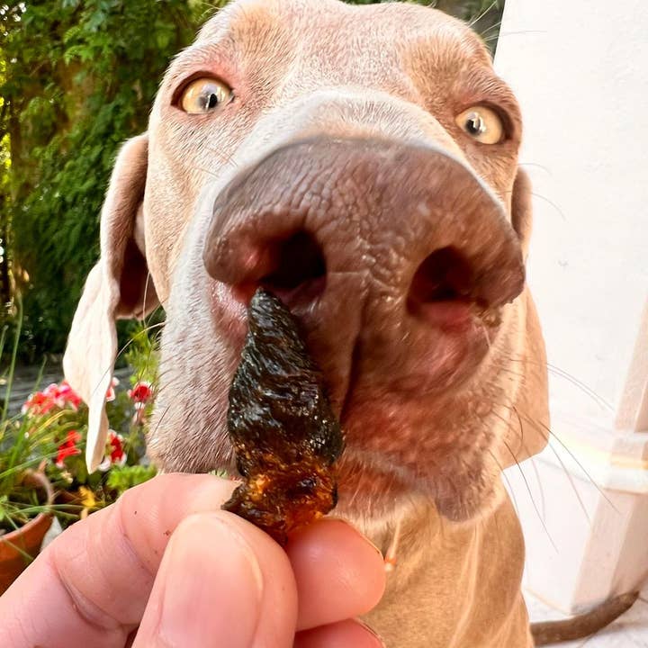 Cooka's Cookies - Wholesale Pet Treats - Dog - Chicken Truffles - Air-dried Chicken Hearts3