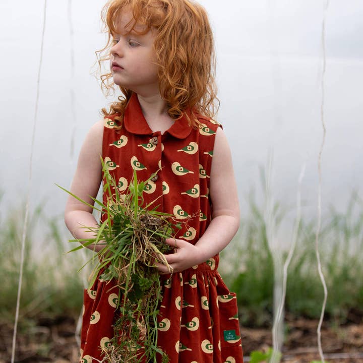 Spring Birds forklæde kjole med knapper for engroshandel hos Little Green Radicals EU