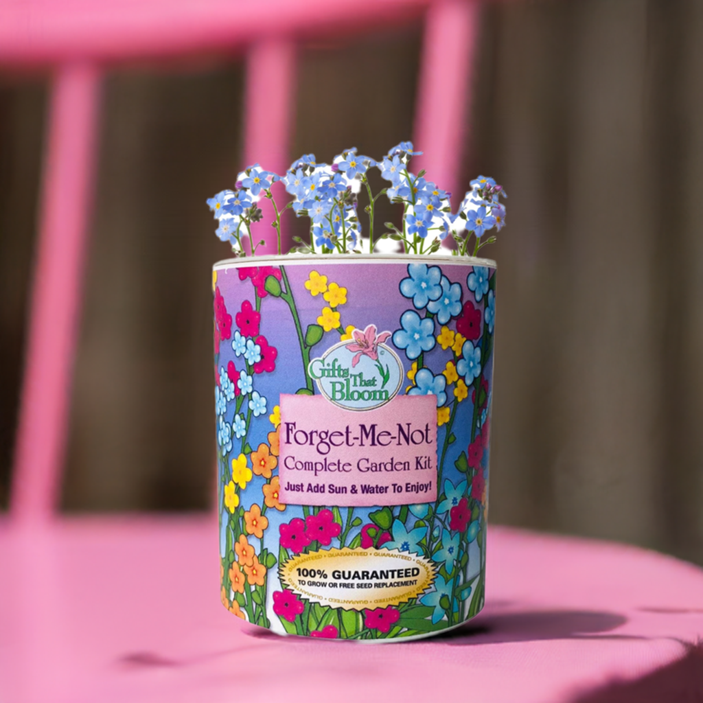 Gifts That Bloom - Wholesale Plant Seeds - Forget-Me-Not Garden Grocan Seed Kit2