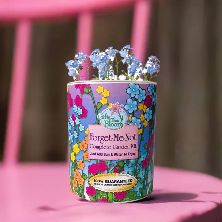 Gifts That Bloom - Wholesale Plant Seeds - Forget-Me-Not Garden Grocan Seed Kit2