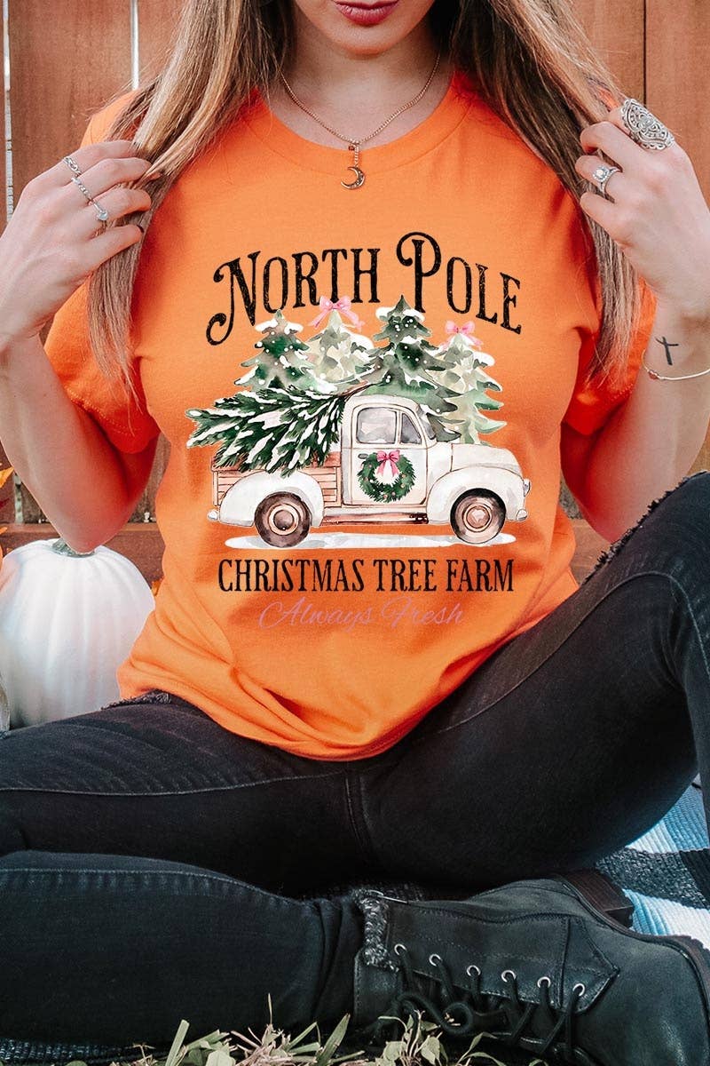 COLORBEAR – Großhandel T-Shirt (Grafikdruck) – Damen – Weihnachtsgrafik-T-Shirt Nordpol13