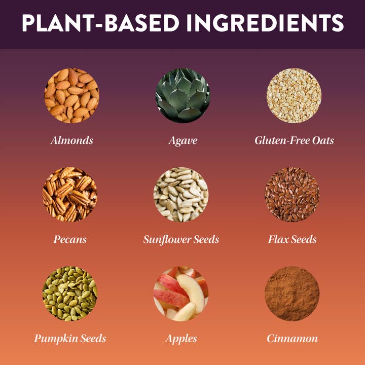 Protein Puck - Wholesale Snack Bar - Harvest Moon (Apple, Cinnamon, Pecan) (16 - 3.25oz Bars)3