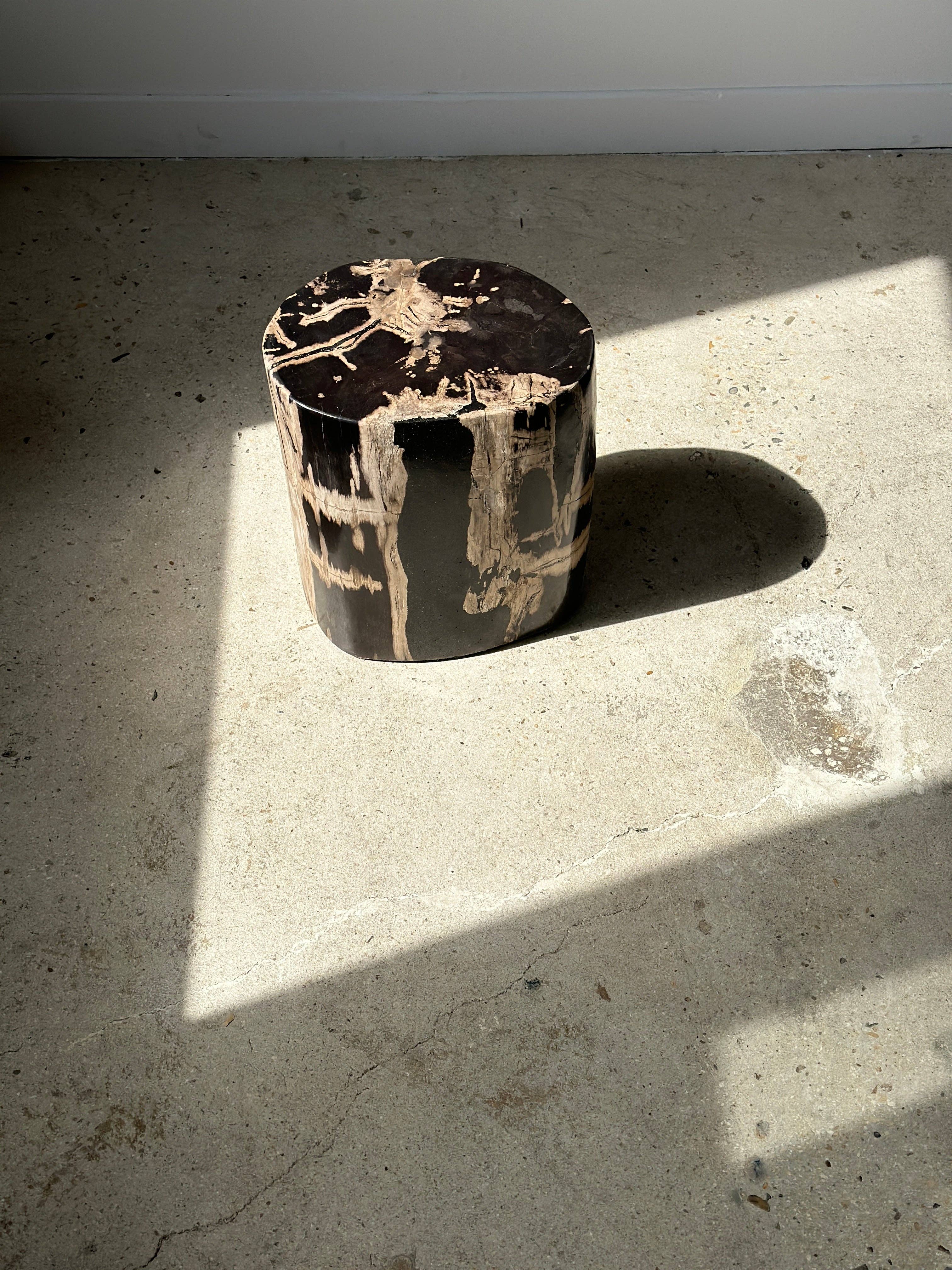 Office Objets - Vente Tables d'appoint - Table d'appoint en bois pétrifié8