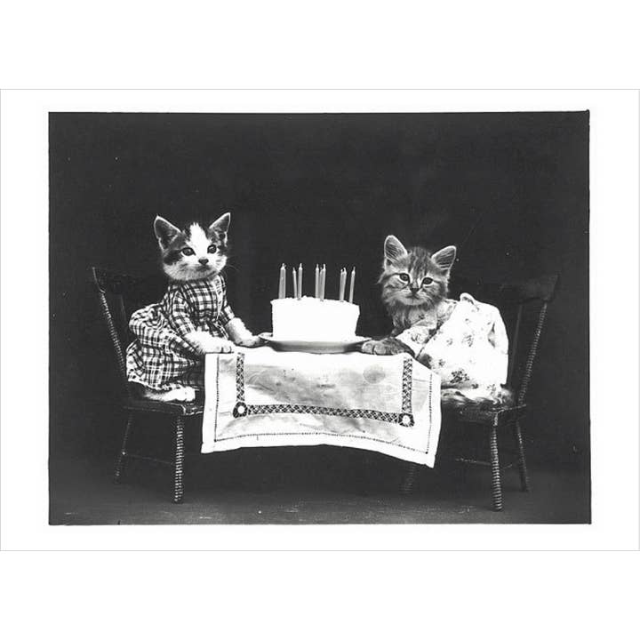 Two Kittens Wearing Dresses At A Table W for wholesale by Retrospect Greeting Cards