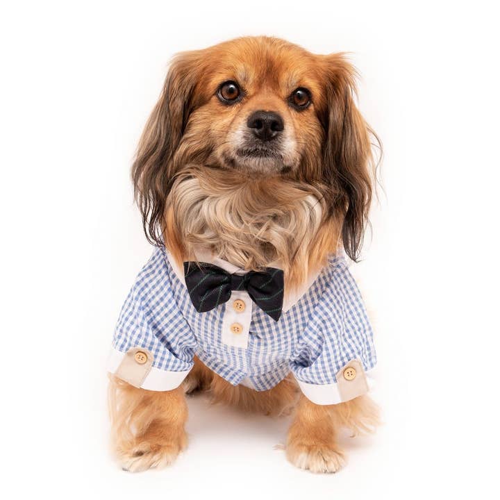 PetLondon – wholesale Pet shirt – Dog – Party Bow Tie Dog Shirt