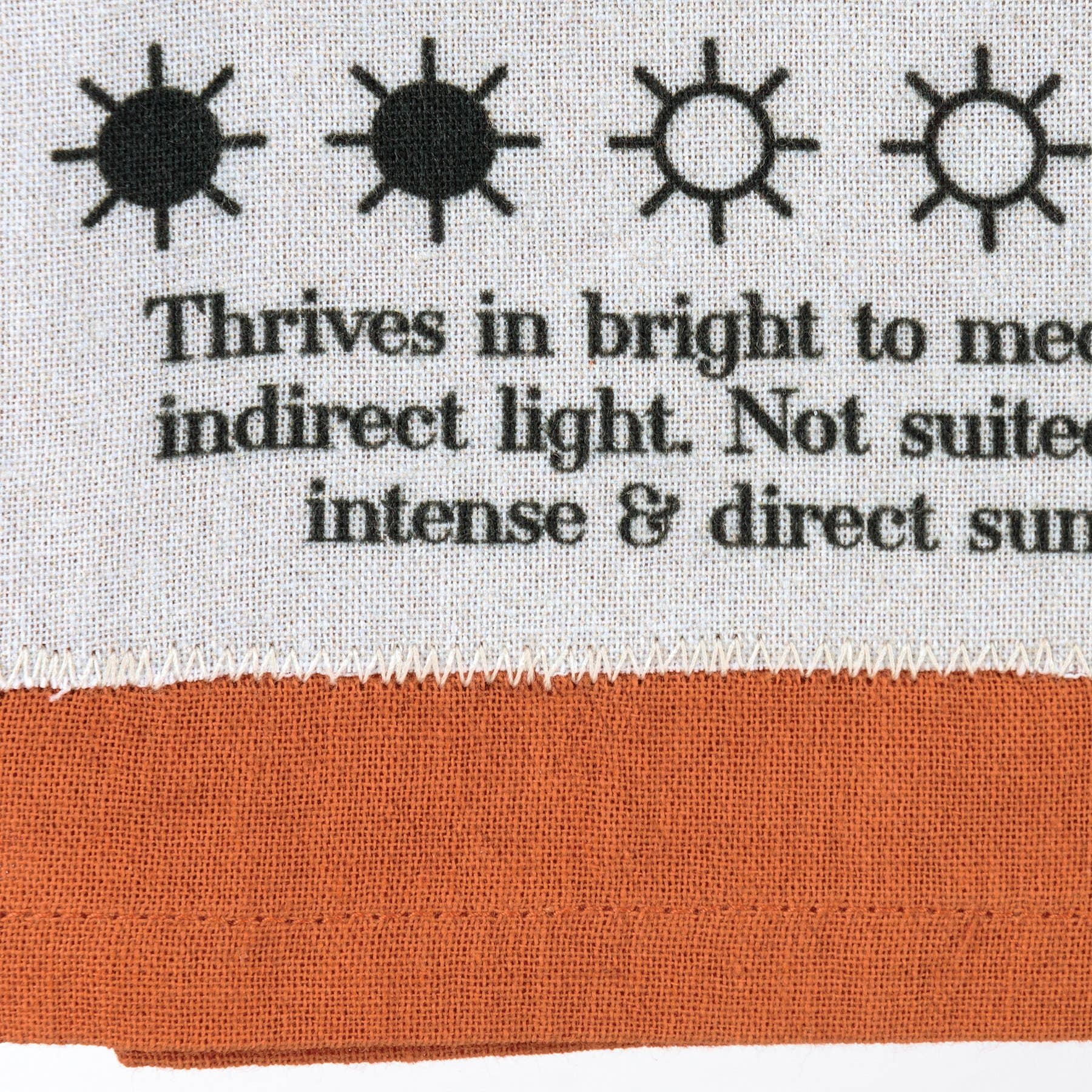 Primitives by Kathy - Wholesale Tea Towel - Snake Plant Guide Kitchen Towel3