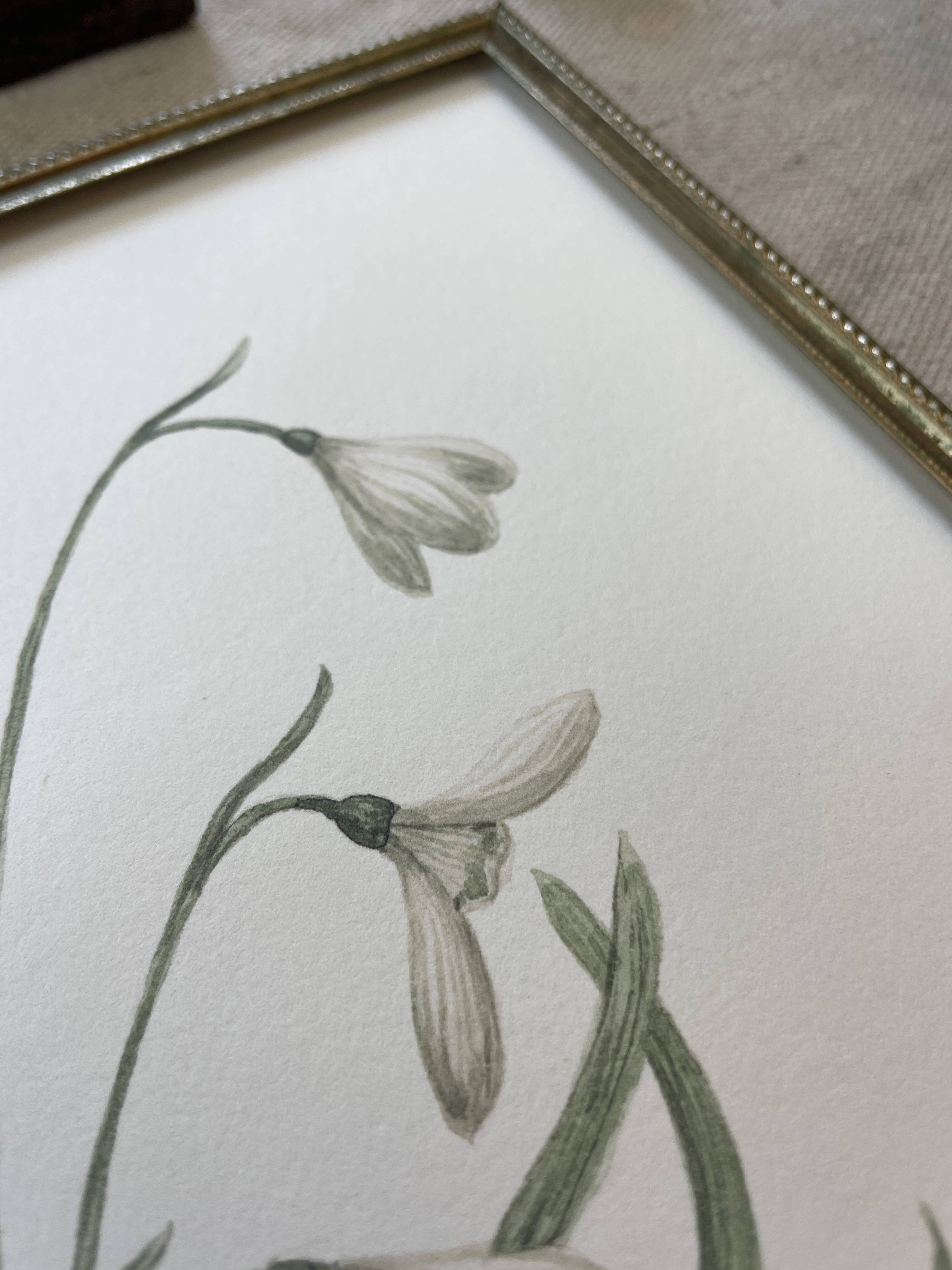 Kara Valentino Ffield Art - Wholesale Art Print - Snowdrops | Watercolor Art Print 5