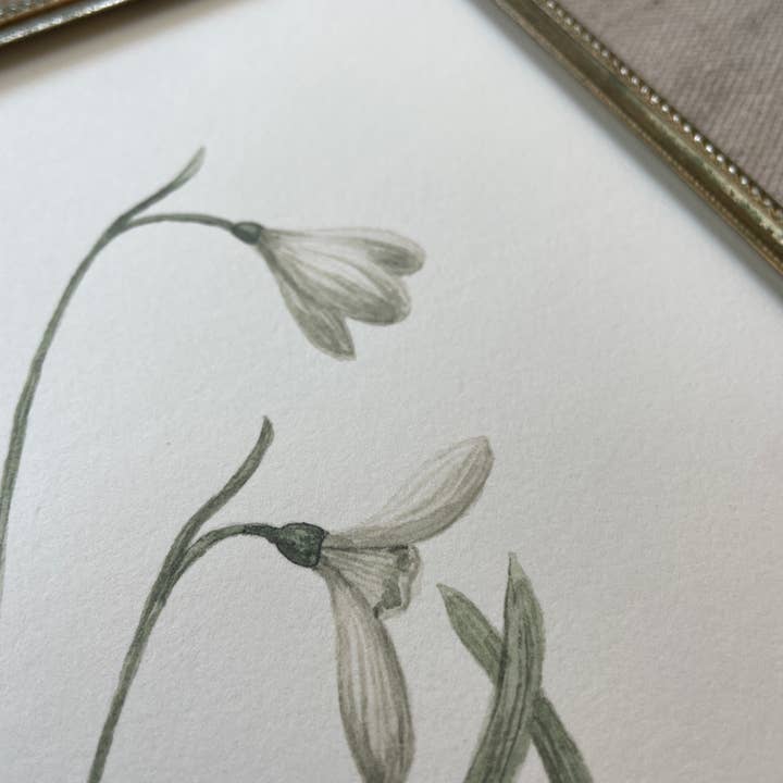Kara Valentino Ffield Art - Wholesale Art Print - Snowdrops | Watercolor Art Print 5