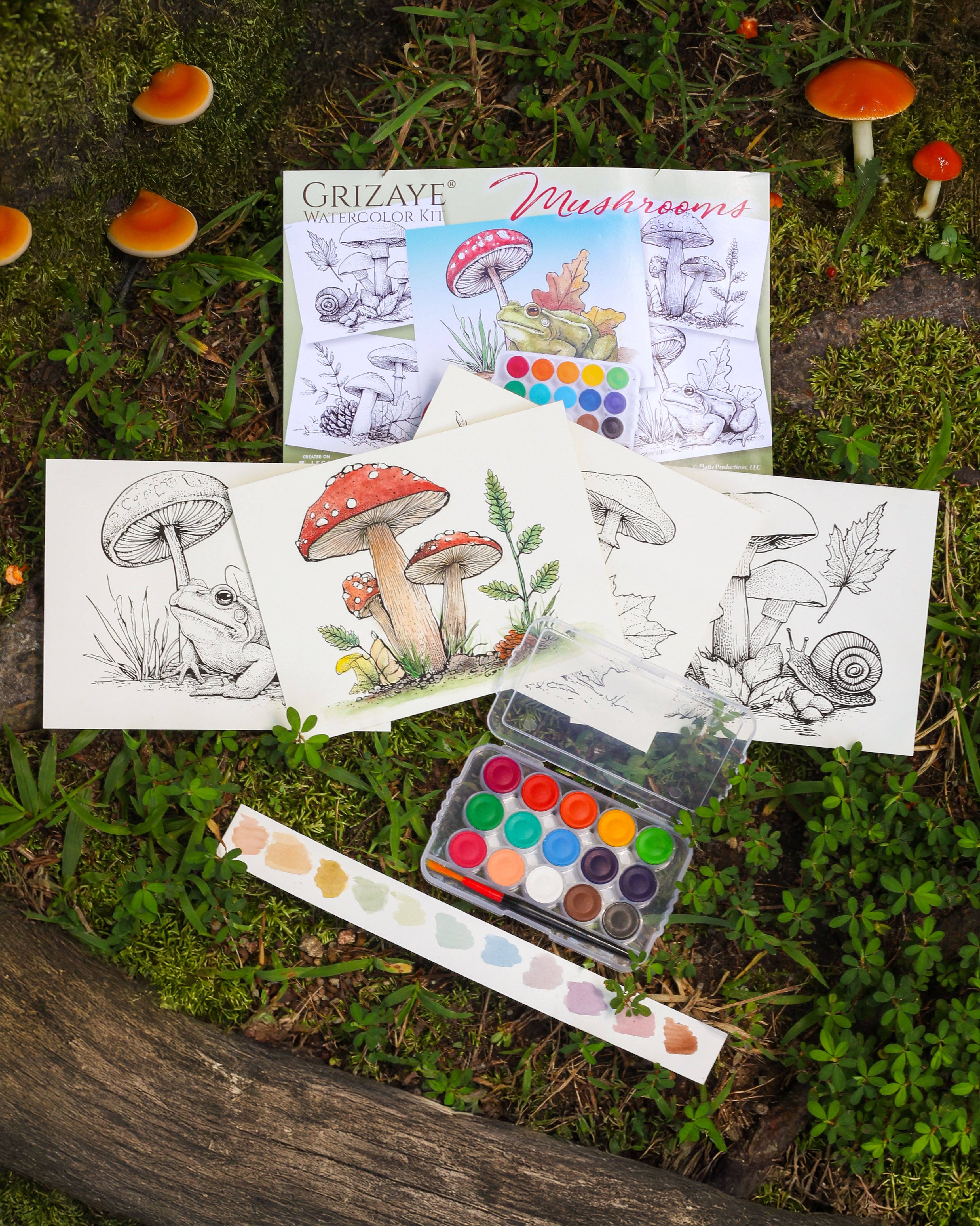 Grizaye - Wholesale DIY Craft Kit - Watercolor Kit: Mushrooms7