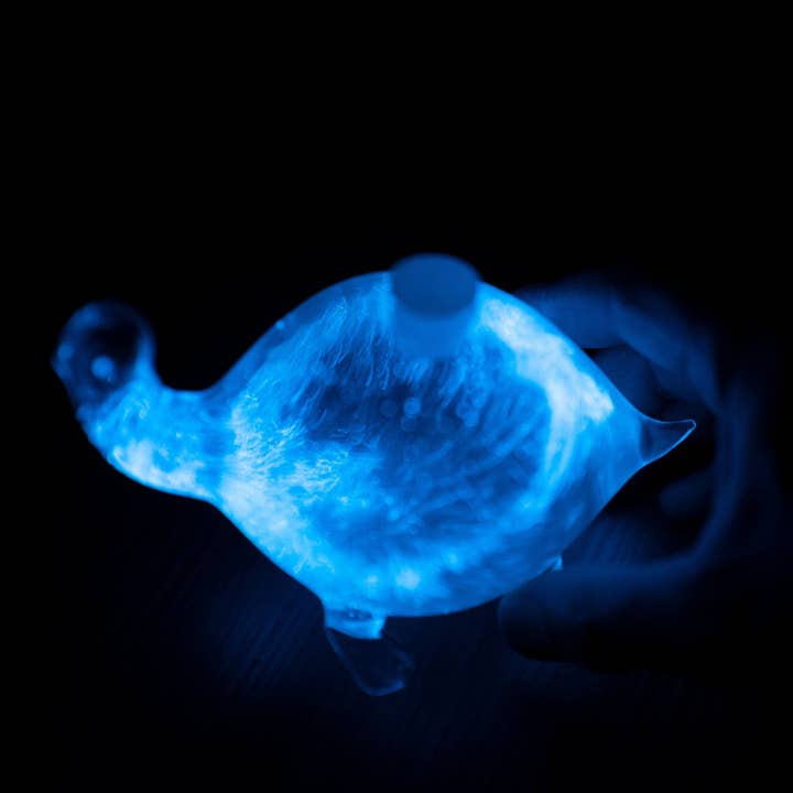 PyroFarms - Wholesale Decorative Tabletop Object - Bioluminescent Bio-Turtle - Gift Option