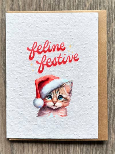 Festive Cat for wholesale by The Flora Page