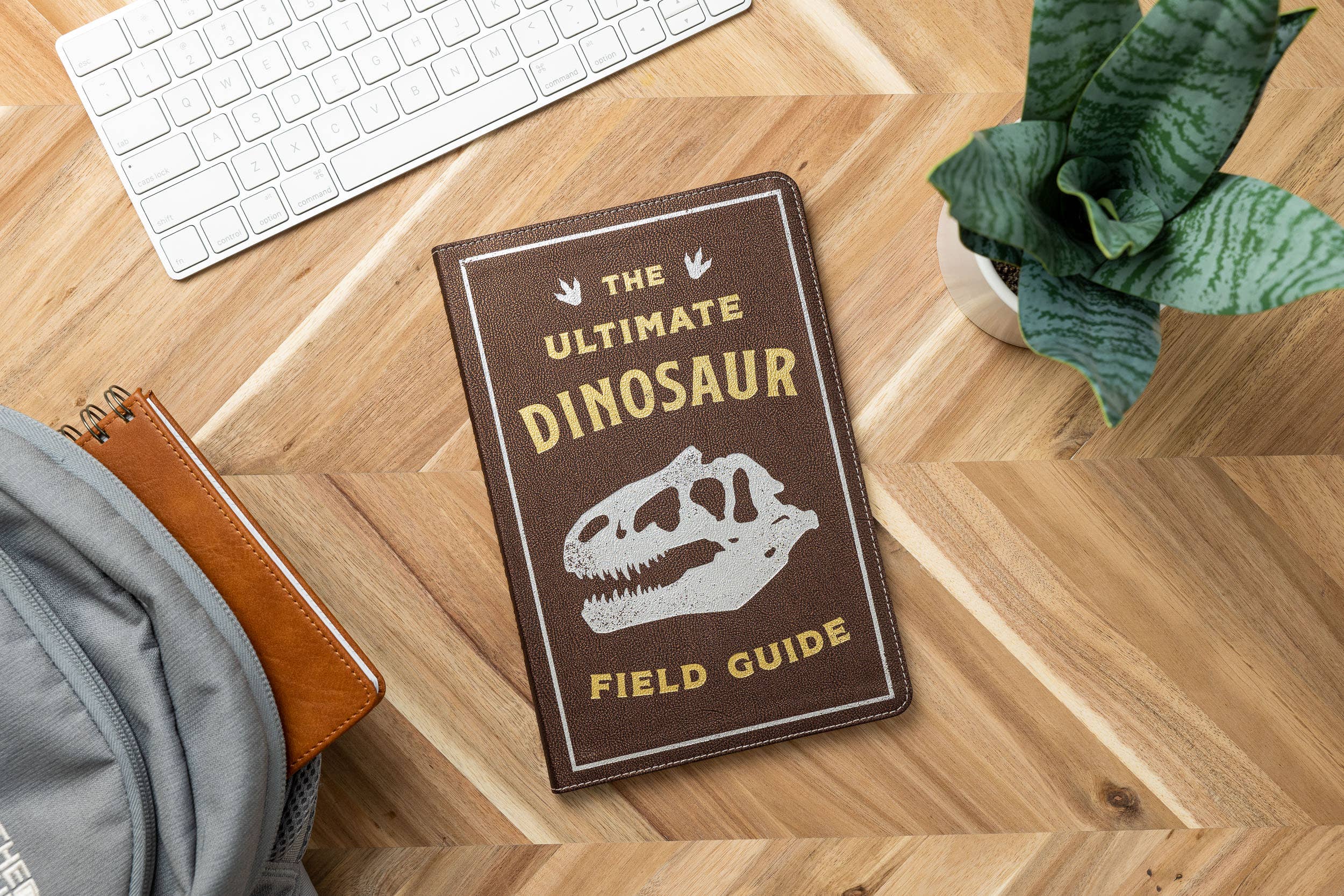 HarperCollins Focus - Wholesale Reference - Ultimate Dinosaur Field Guide Illustrated by Csotonyi1