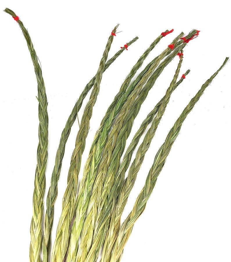 GREENROOTS USA LLC - Wholesale Sage Bundle - Sweetgrass Braid 24" (1 Braid Pack)
