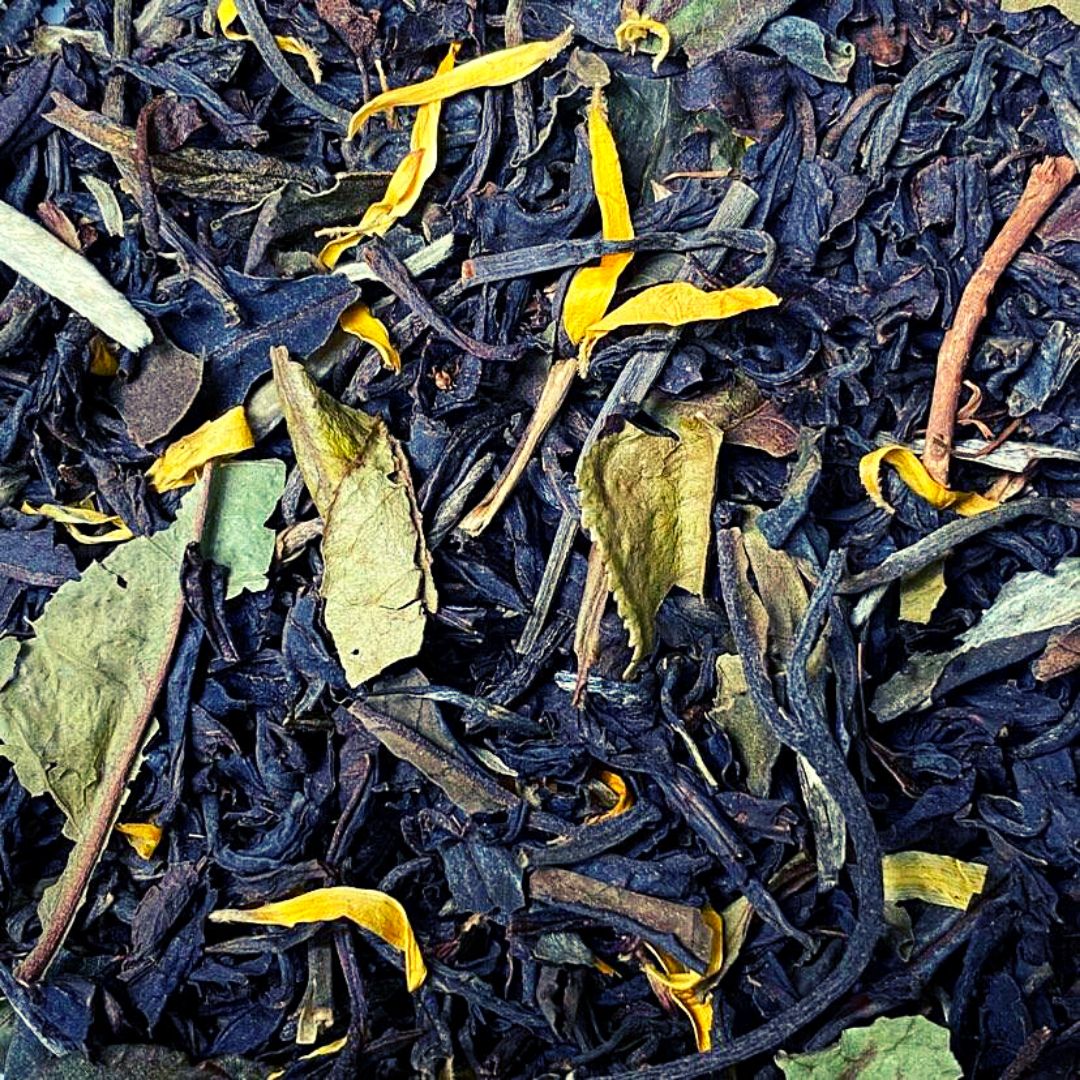 Tea’magine – Chá de saúde/Detox por atacado – Chá preto orgânico Black Jasmin com jasmim1