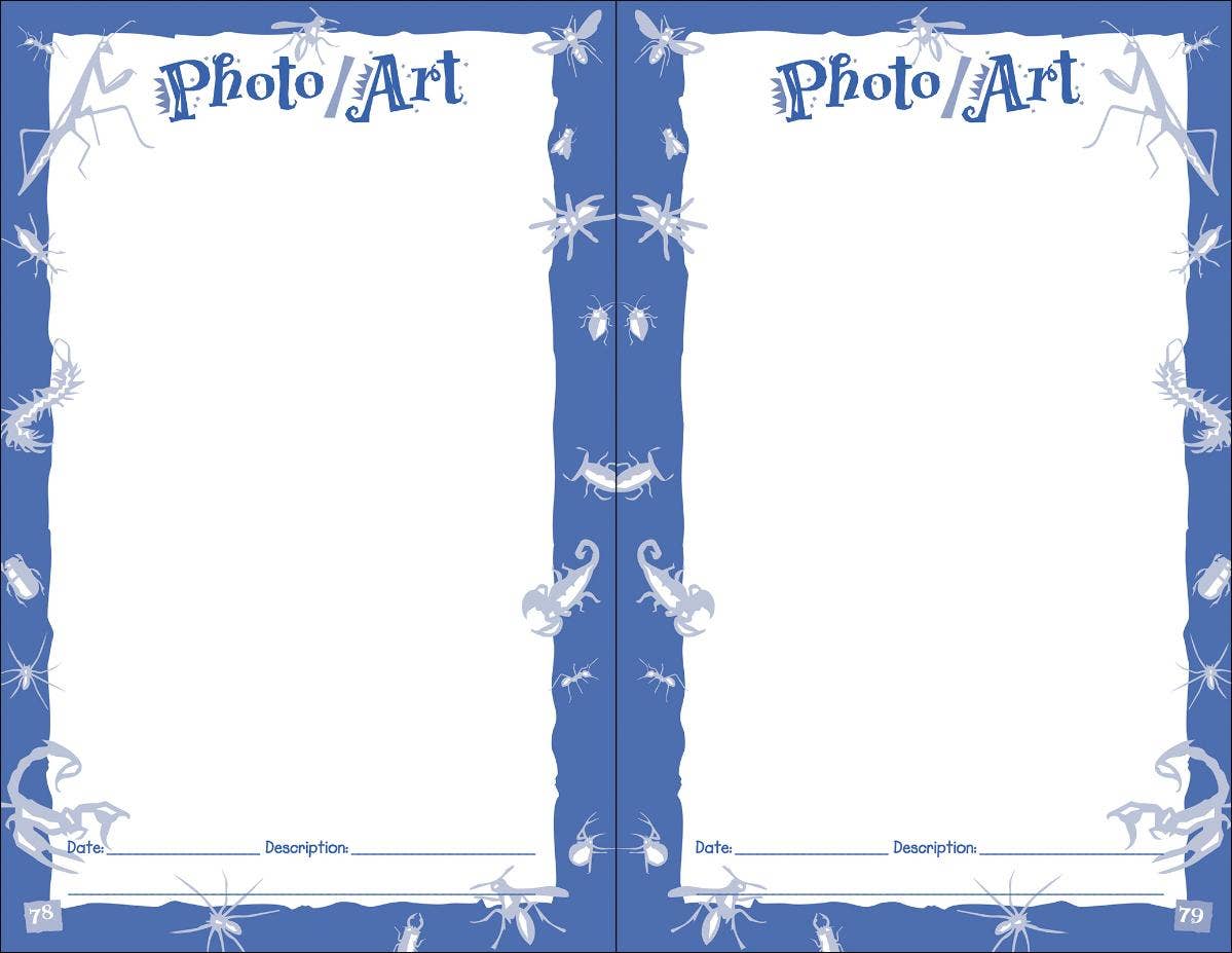 AdventureKEEN - Wholesale Nature & Outdoors - Bug Log Kids3