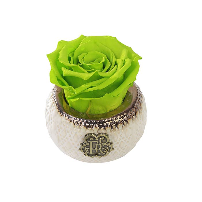 Eternal Roses® - Wholesale Artificial Flowers - Mini Soho Classic Eternal Luxury Rose17