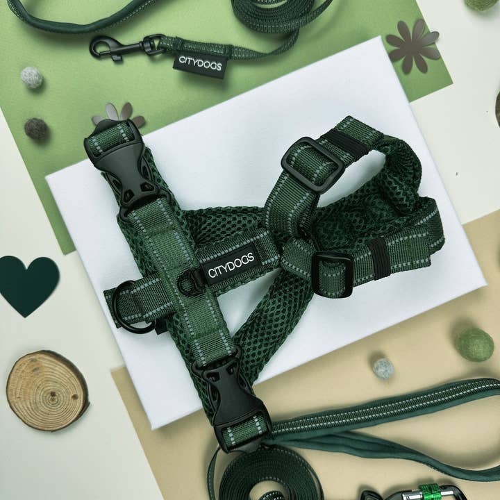 CityDogs - Vente Harnais – chien - CityDogs - Harnais Y rembourré ajustable pour chien6