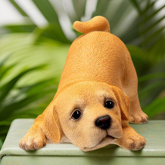 Cachorro de labrador para venta al por mayor de Pacific Trading