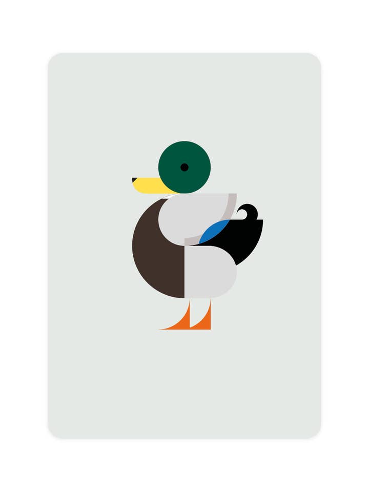 Postcard with Mallard for wholesale by Eendje