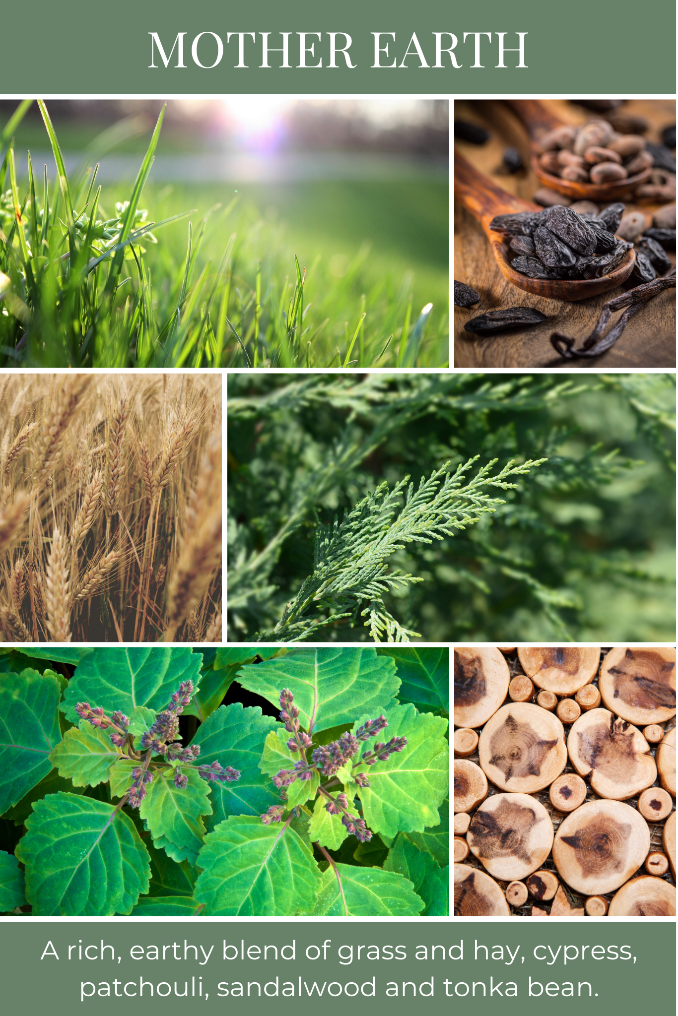 Eco Candle Company - Wholesale Reed Diffuser - reed diffuser MOTHER EARTH1