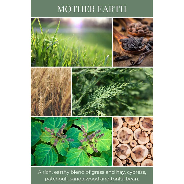 Eco Candle Company - Wholesale Reed Diffuser - reed diffuser MOTHER EARTH1
