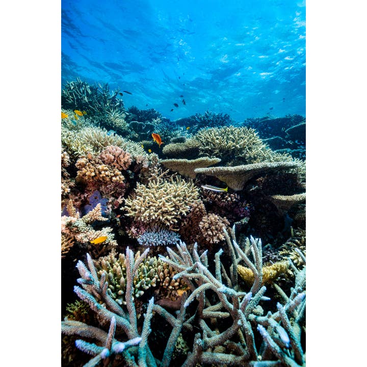 Above And Below Gallery - Wholesale Art print - Lower Levels1