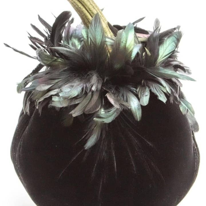 Ebony w/ Black Feather Collar for wholesale by Hot Skwash